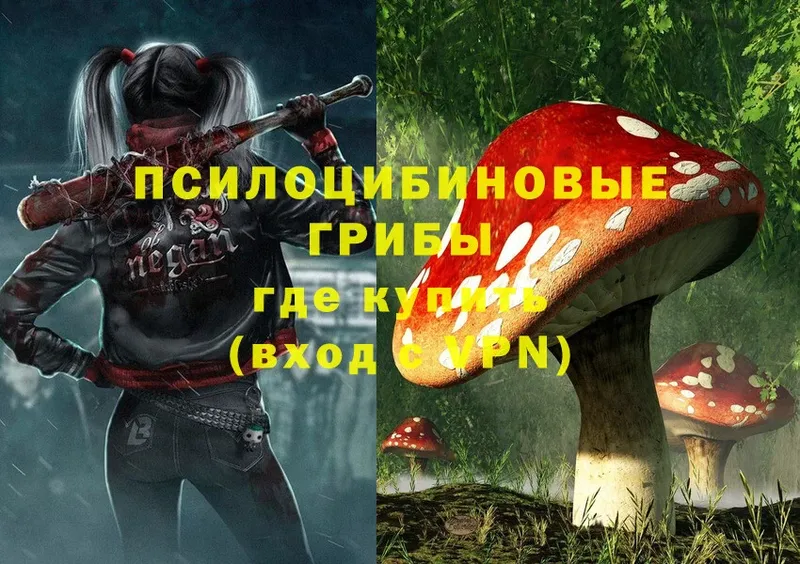 Галлюциногенные грибы MAGIC MUSHROOMS  Благовещенск 